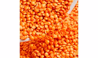Red lentil