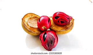 Nutmeg Seeds