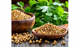 CORIANDER SEED