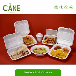 molded fiber sugarcane bagasse tableware