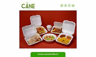 Molded Fiber sugarcane bagasse tableware