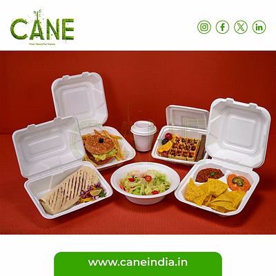 molded fiber sugarcane bagasse tableware