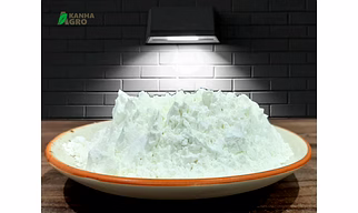 centrifugal sugar