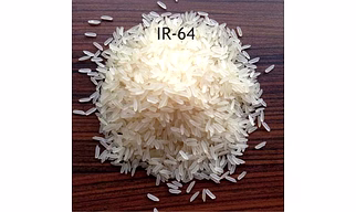IR 64 Parboiled Rice