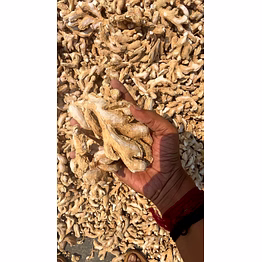 royal agro venture dry ginger