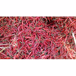 royal agro venture dried red chilli , premium indian dried red chillies with bold color & hot flavor.