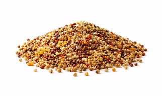 MILLET