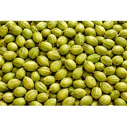 coriander seeds