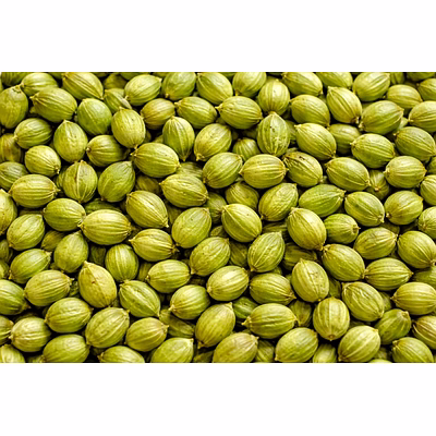 coriander seeds