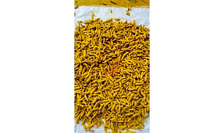 Salem Turmeric Fingers