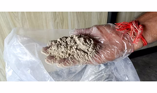 Banana Powder