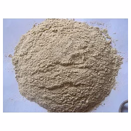 garlic powder