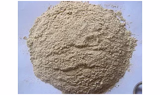 Garlic Powder