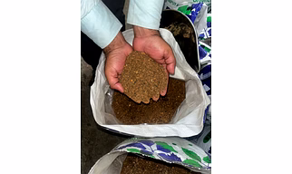 Neem Fruit Powder – Organic Fertilizer & Pest Management Solution