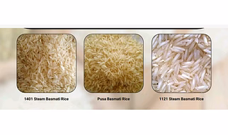 1401 STEAM BASMATI RICE