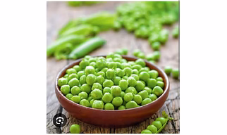 FROZEN  GREEN PLASTO