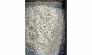 IR 64 / Parboiled Rice