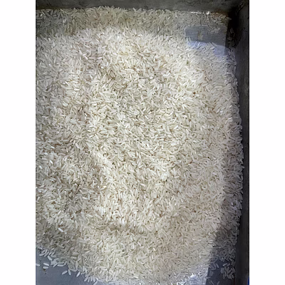ir 64 / parboiled rice