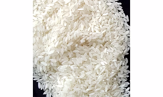 Andhra Swarna Rice (MTU 7029)