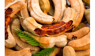 Tamarind