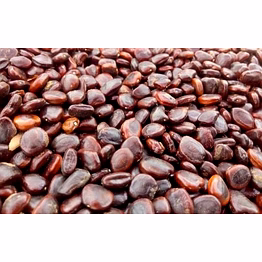 tamarind seeds