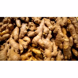 ginger