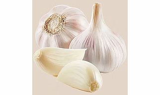 Garlic Bulb