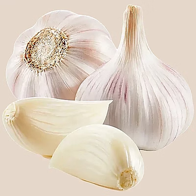 garlic bulb