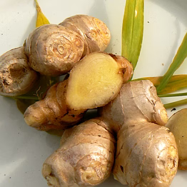 a grade fresh ginger root