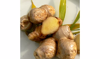 A Grade Fresh Ginger Root