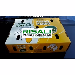 mango fruit box - risali packaging & packaging