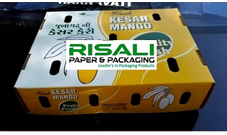 MANGO FRUIT BOX - Risali Packaging & Packaging