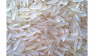 Basmati Rice