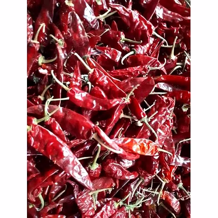 Dried red chillies-1
