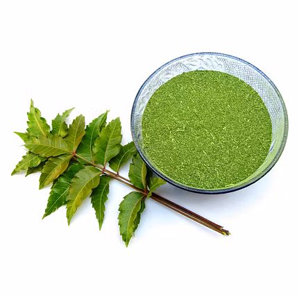 Neem Leaf Powder-12789995