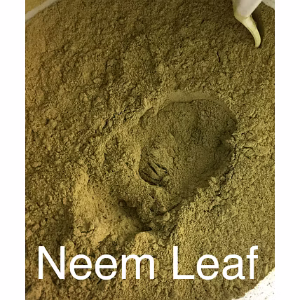 Neem Leaf Powder-2