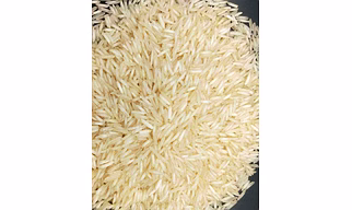 Basmati 1121