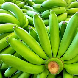 g9 cavendish banana
