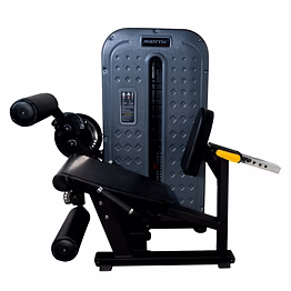 seated leg curl / leg extenssion