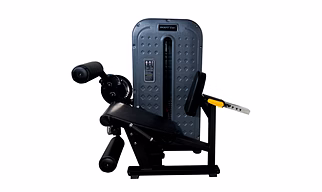 Seated Leg Curl / Leg Extenssion