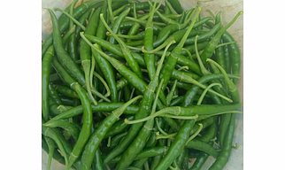 Green Chilli