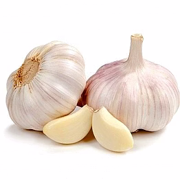 garlic