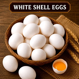 white shell eggs for importers and b2b buyers | diyantha global eggs export-ready supply