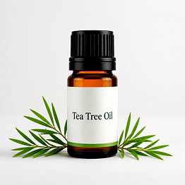 tea tree oil for importers and b2b buyers | diyantha global tea & ingredients export-ready supply