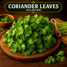 coriander leaves (cilantro) for importers and b2b buyers | diyantha global fresh vegetables export-ready supply