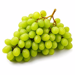 thompson seedless grapes for importers and b2b buyers | diyantha global fruits export-ready supply