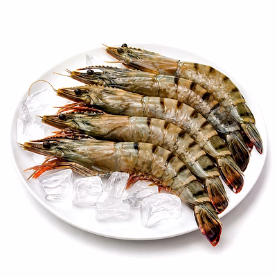 sea tiger (st) for importers and b2b buyers | diyantha global seafoods export-ready supply
