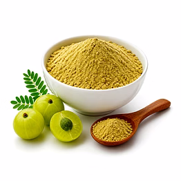 amla powder for importers and b2b buyers | diyantha global herbal powders export-ready supply