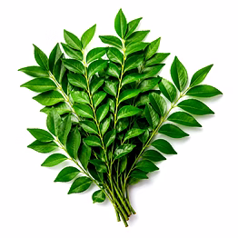 curry leaves for importers and b2b buyers | diyantha global fresh vegetables export-ready supply