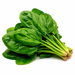 spinach (palak) for importers and b2b buyers | diyantha global fresh vegetables export-ready supply